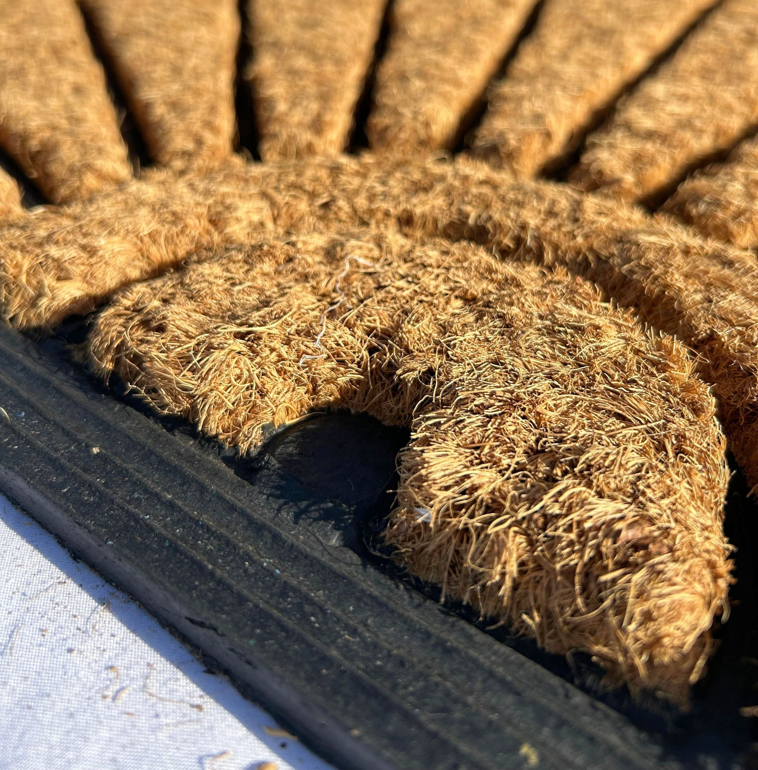 Fibra de Coco y Goma