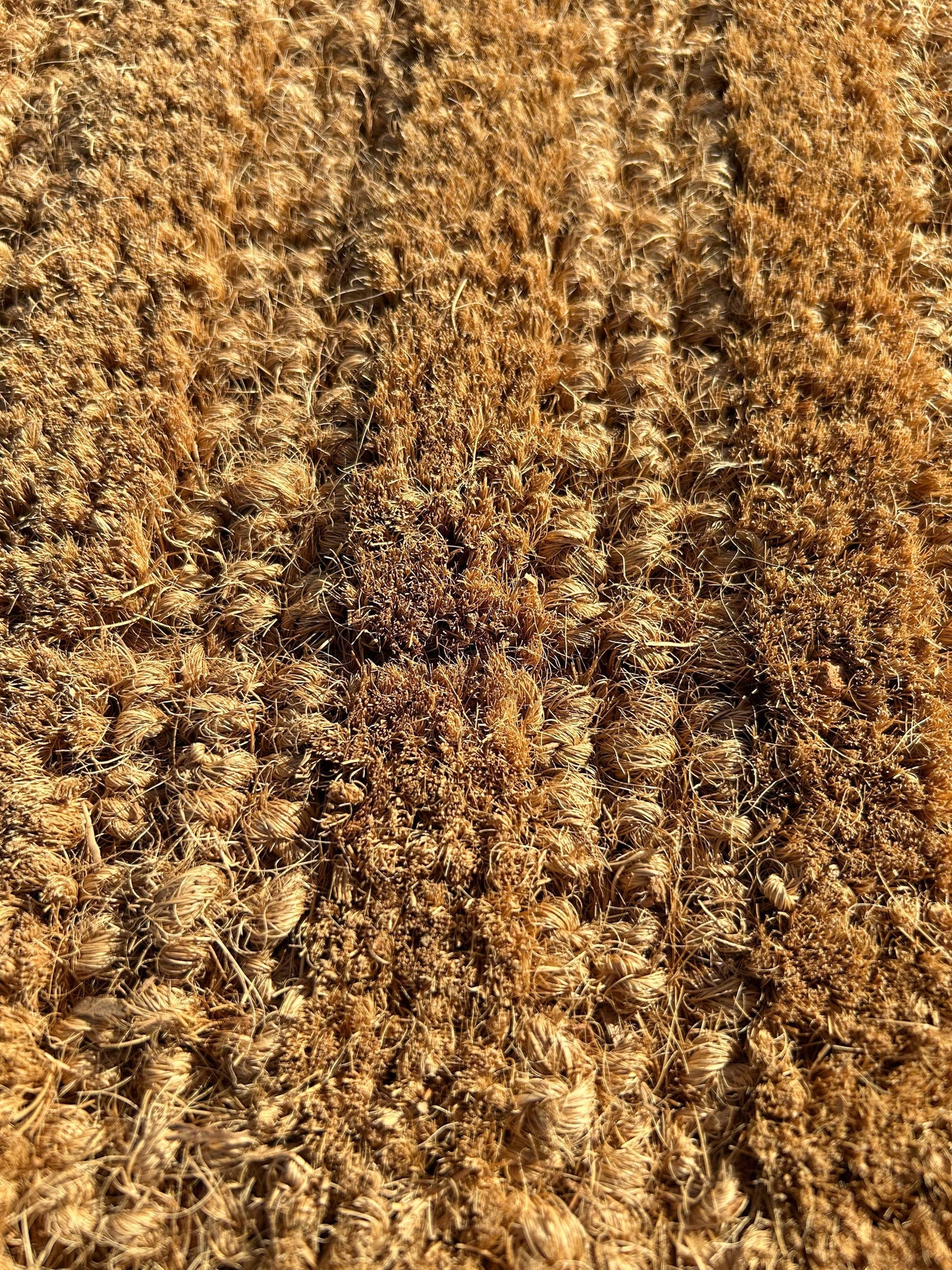 Modelo COIR STRIPE